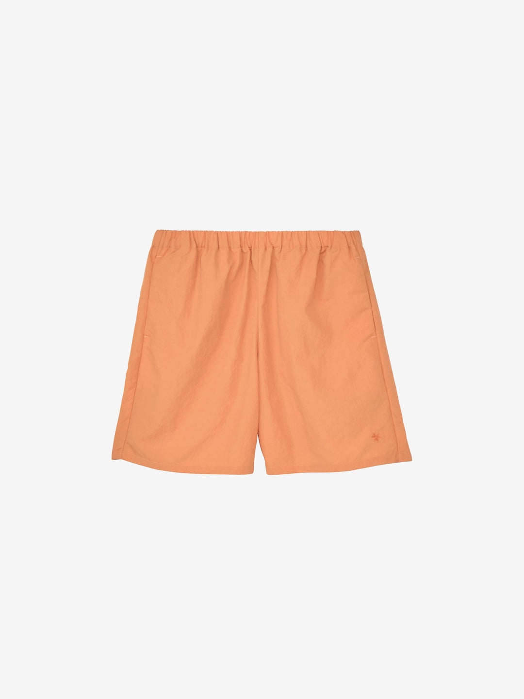 Nylon Shorts – Goldwin London